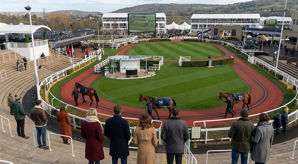 Cheltenham November Meeting taxi from Birmingham